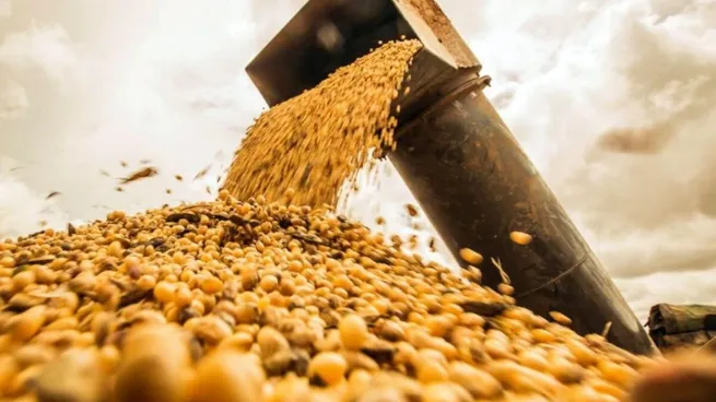 El acuerdo Mercosur-UE podría generar más de u$s10.000 millones extra por parte del campo