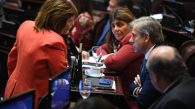 Qué dice el proyecto libertario